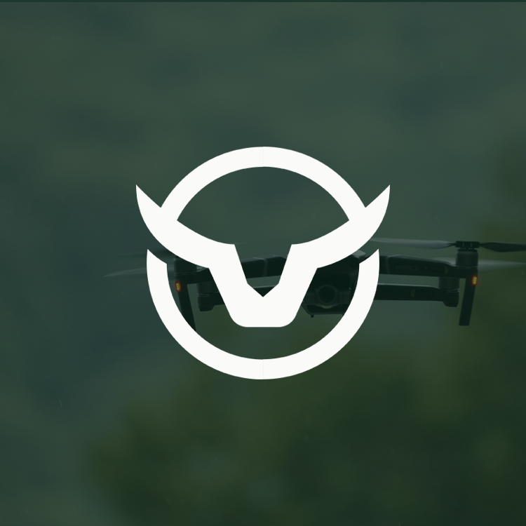 Backswing-Ventures-Portfolio---Wild-West-Systems